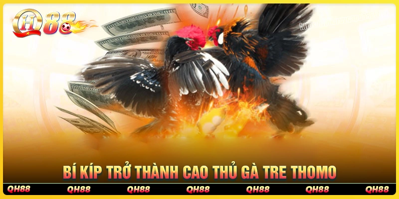 Bí kíp để trở thành cao thủ cá cược đá gà tre Thomo