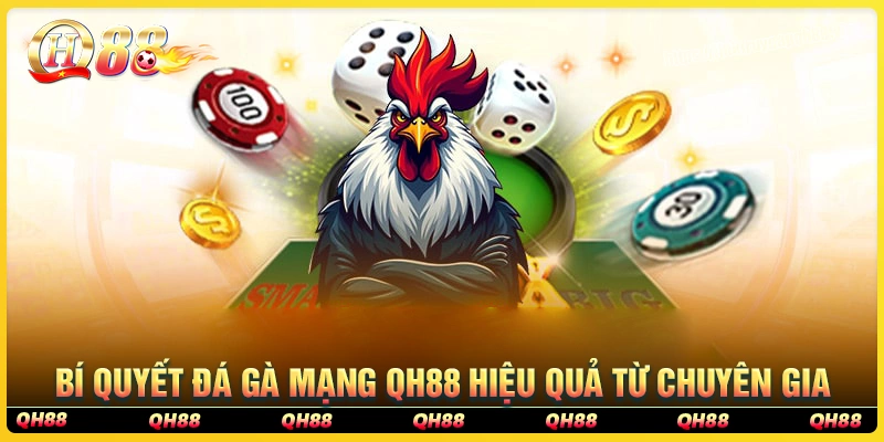 Bí quyết chơi đá gà mạng qh88 hiệu quả từ chuyên gia