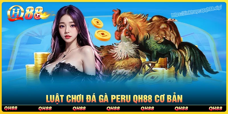 Luật chơi & quy định khi tham gia đá gà Peru tại qh88