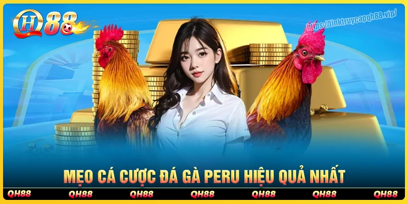 Mẹo hay giúp cược thủ dễ chơi đá gà Peru hiệu quả